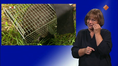 NOS Jeugdjournaal met gebarentaal